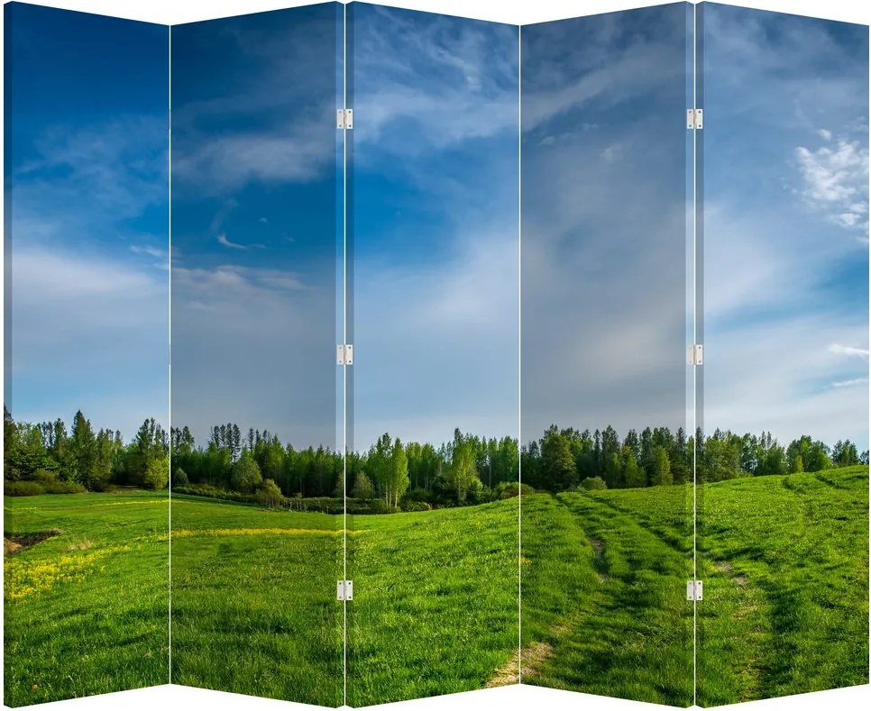 Paraván - Lúka (210x170 cm)