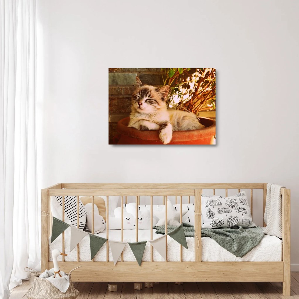 Sklenený obraz mačky v kvetináči (70x50 cm)