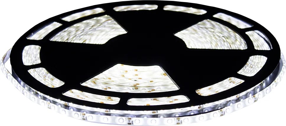 BERGE LED pásik - SMD 2835 - 50m - 4,8 W/m - IP20 - studená biela