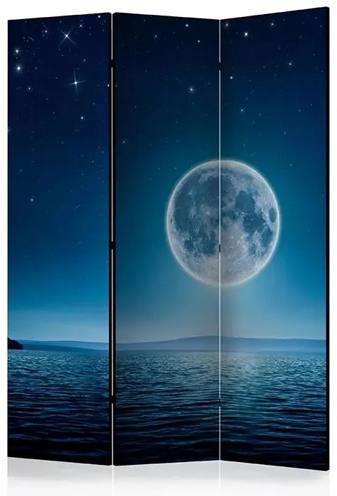 Paraván - Moonlit night [Room Dividers] Veľkosť: 135x172, Verzia: Jednostranný