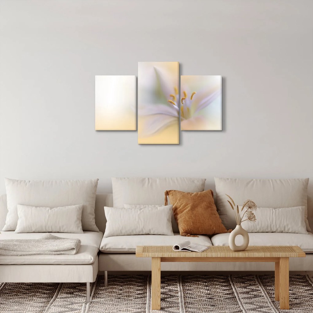 Obraz - Jemný kvet (90x60 cm)