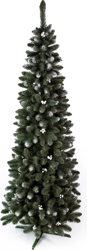 Borovica Iza Slim- 220cm