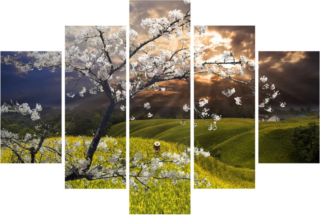 Obraz - Rozkvitnutý strom v krajine (150x105 cm)
