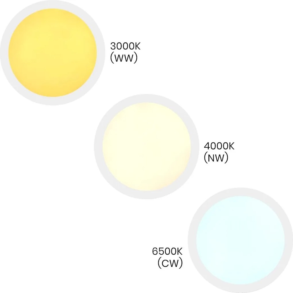 Stropné LED svietidlo Maq, 1x LED 24w, 3000-6500k, w
