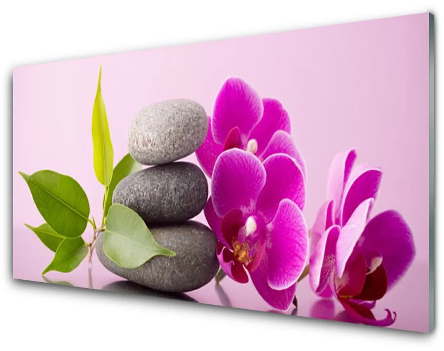 Obraz plexi Orchidea vstavač kamene 100x50 cm 2 Prívesky