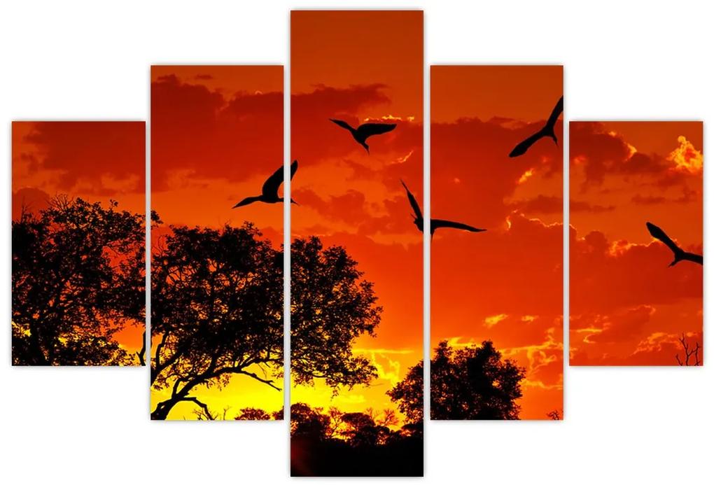 Obraz vtákov pri západe slnka (150x105 cm)