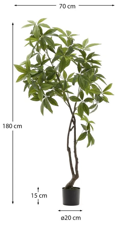 Umelá rastlina (výška 180 cm) Pachira – Kave Home