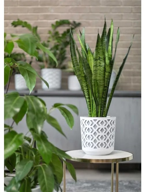 Kvetináč Etnic 14x15 cm bielo-šedý