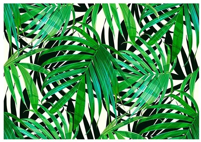 Fototapeta - Tropical Leaves Veľkosť: 147x105, Verzia: Samolepiaca