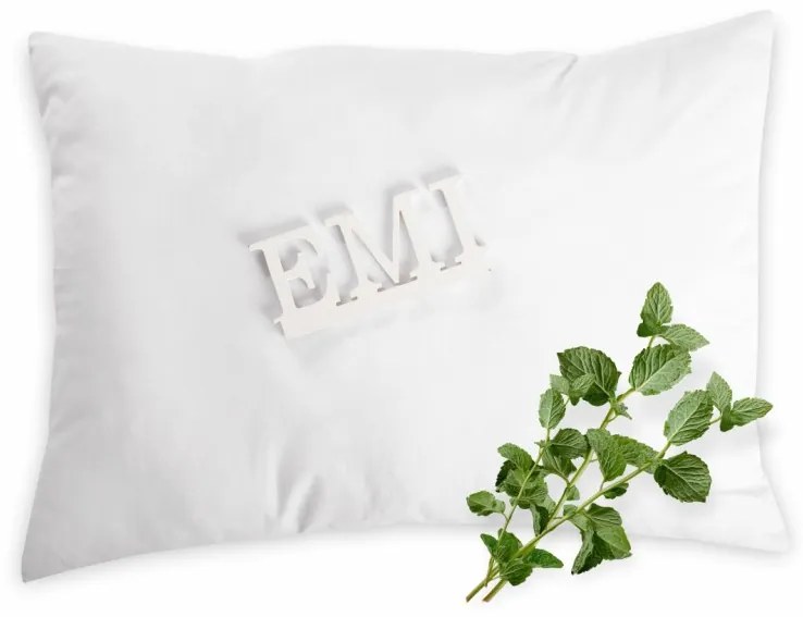 Aromatický vankúš Mint 50x70 cm EMI