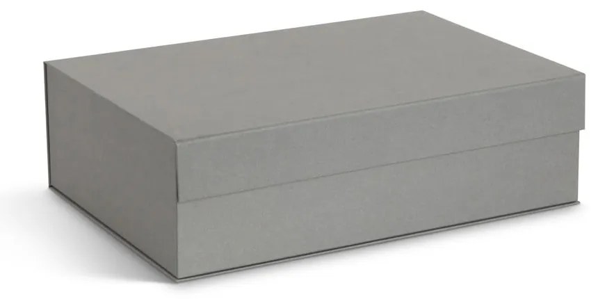 Sivé kartónové úložné boxy v súprave 3 ks s vekom/dekoratívne 42,5x29,5x13 cm Kian Paper Laminate – Bigso