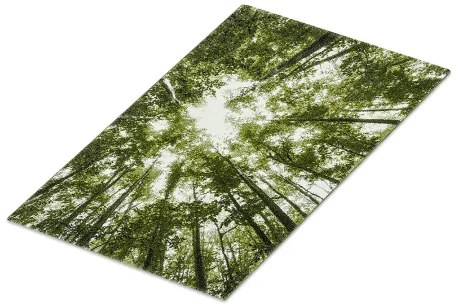 Koberce Breno Kusový koberec BELIS 22103/40, zelená, viacfarebná,120 x 170 cm