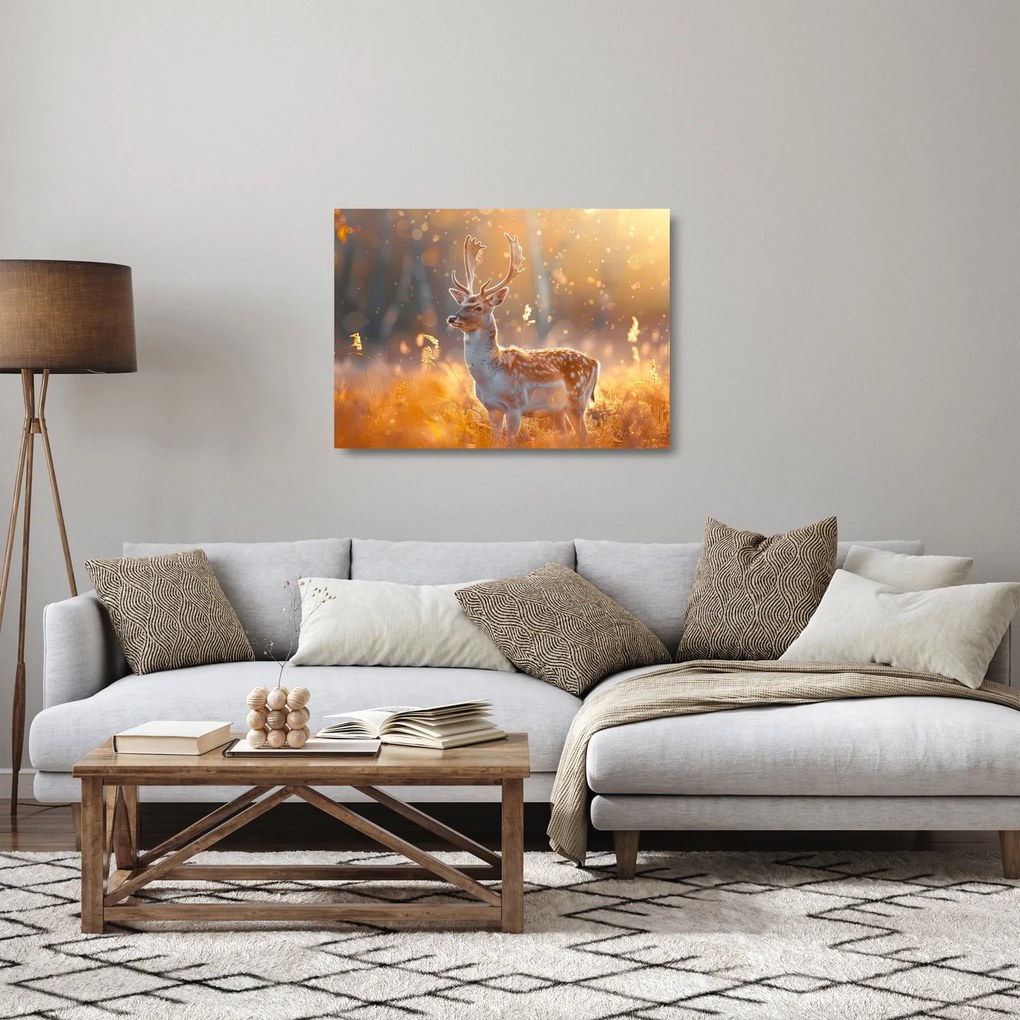 Sklenený obraz - Jeleň v poli (70x50 cm)