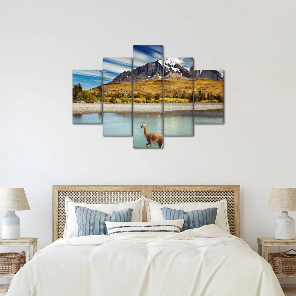 Obraz - Národný park Torres del Paine (150x105 cm)