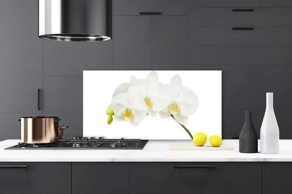 Sklenený obklad Do kuchyne Orchidea výhonky kvety príroda 140x70 cm