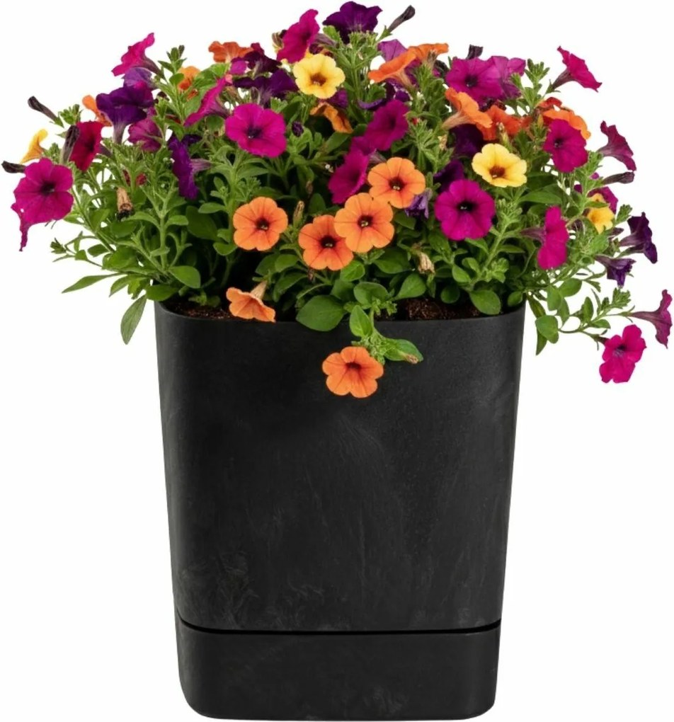Plastový květináč s podmiskou Cubi 30x30 cm černý beton