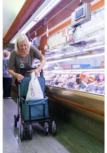 Carlett Senior Assist nákupná taška na​ kolieskach 38 l, svetlosivá