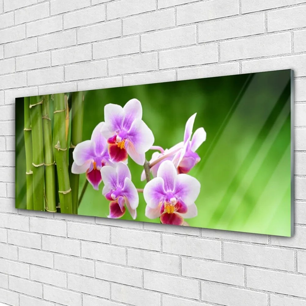 Obraz plexi Bambus orchidea kvety zen 125x50 cm