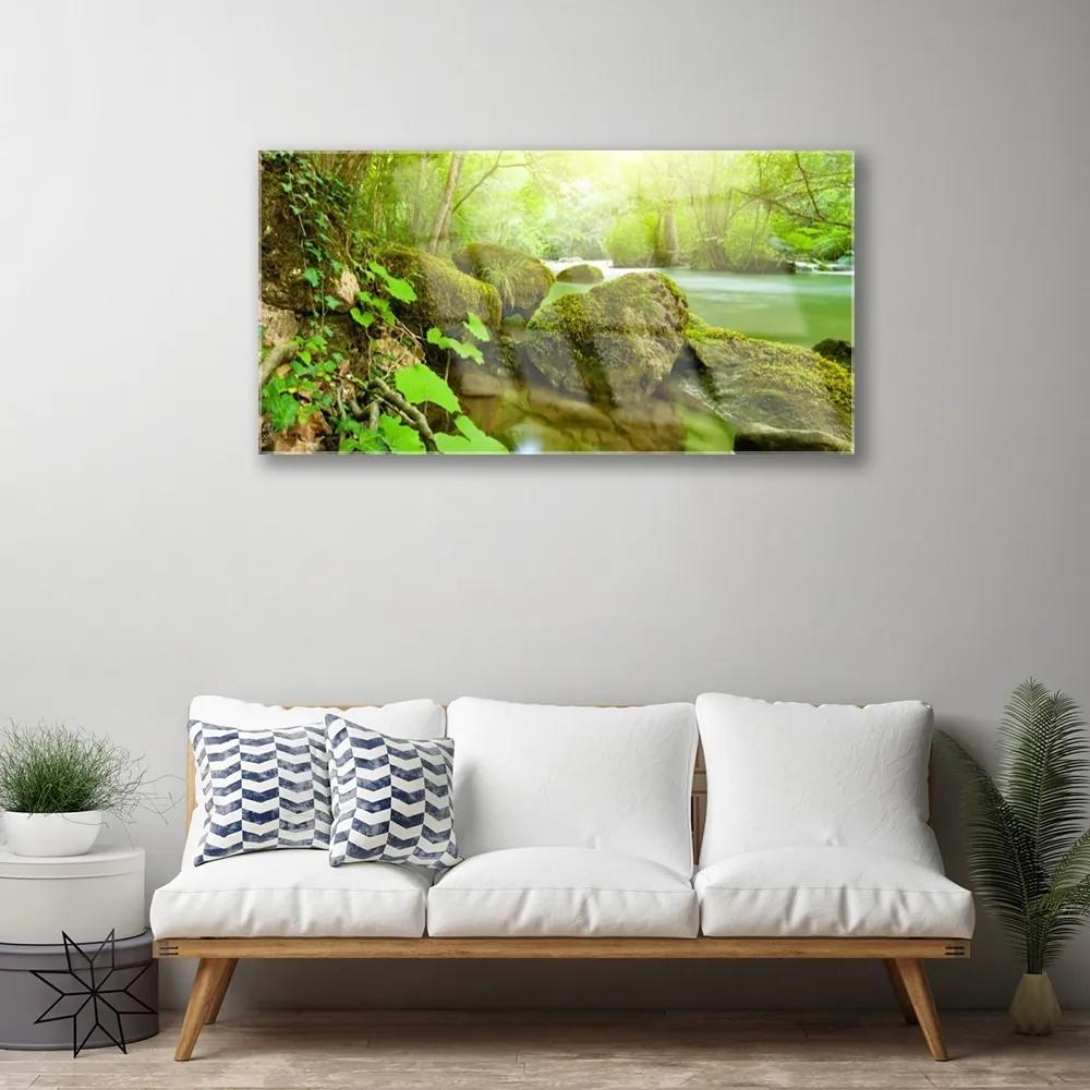 Skleneny obraz Jazero kamene príroda 125x50 cm