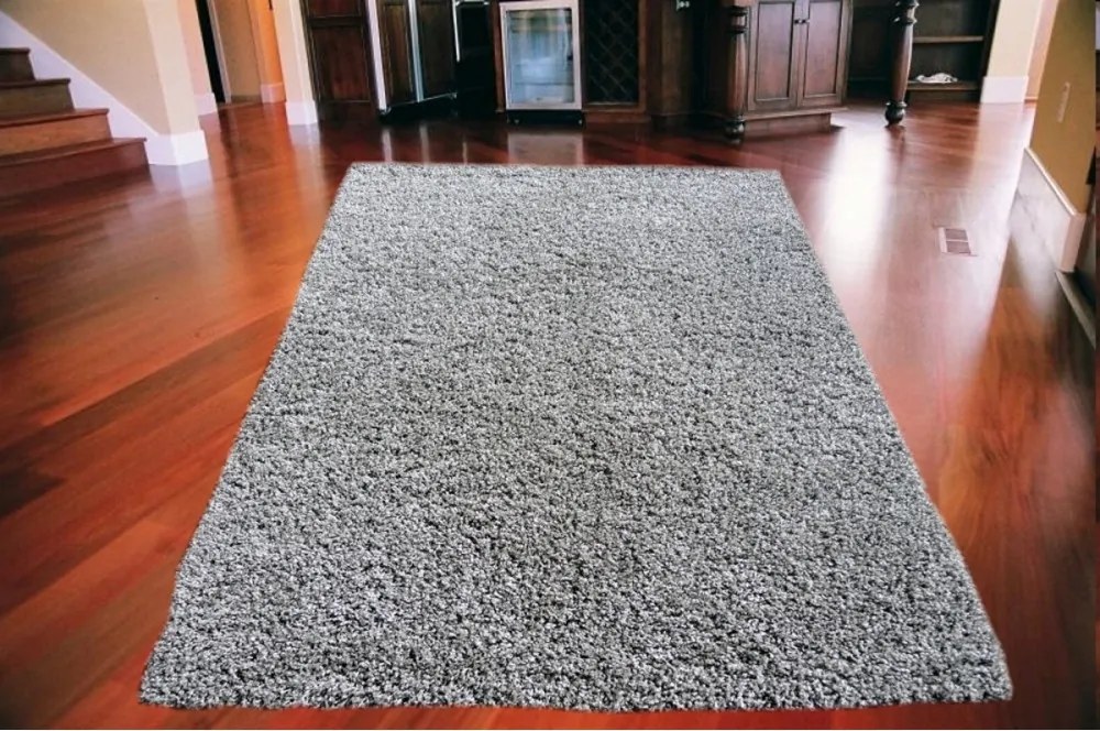 Kusový koberec Shaggy vlas 50mm sivý 2, Velikosti 140x190cm