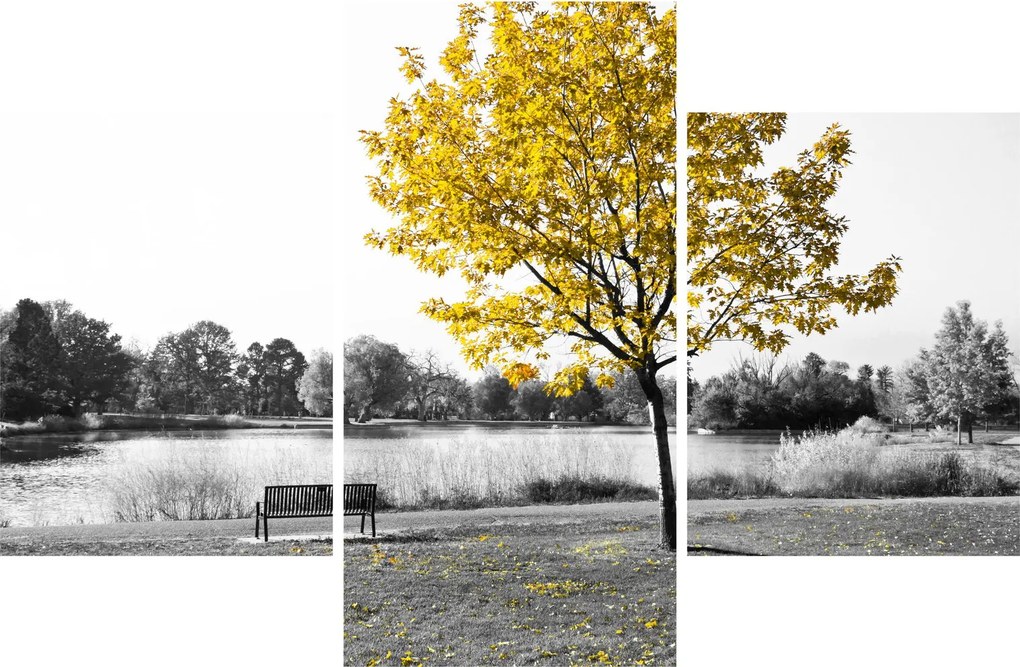 Obraz - Odpočinok v parku (90x60 cm)