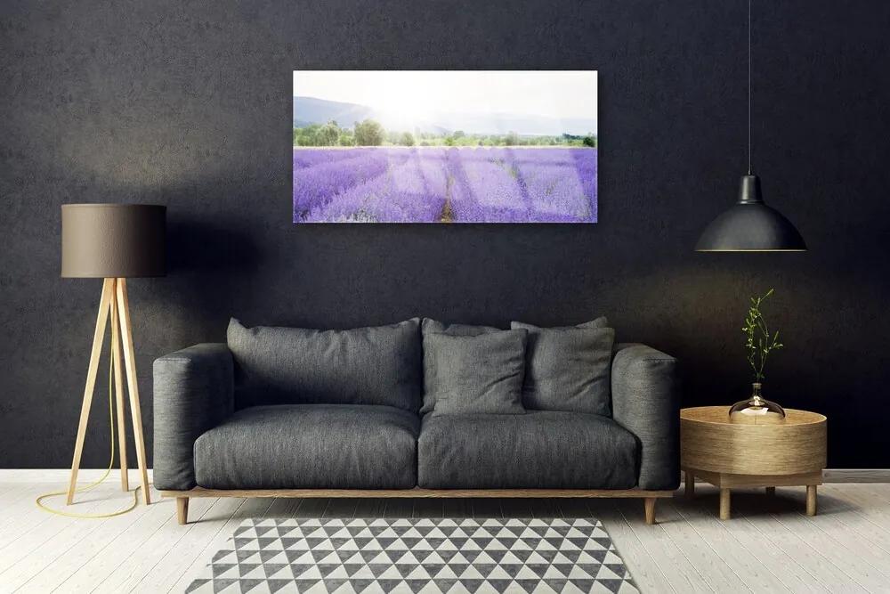 Skleneny obraz Pole levanduľa príroda lúka 100x50 cm