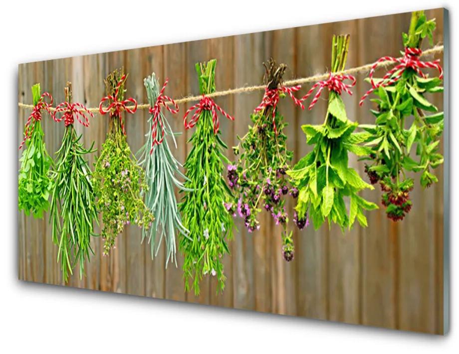 Skleneny obraz Sušené byliny listy príroda 125x50 cm