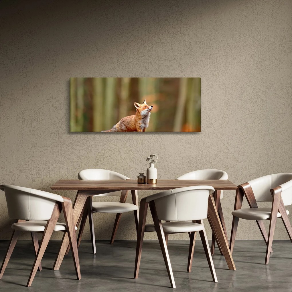 Obraz - Líška (120x50 cm)