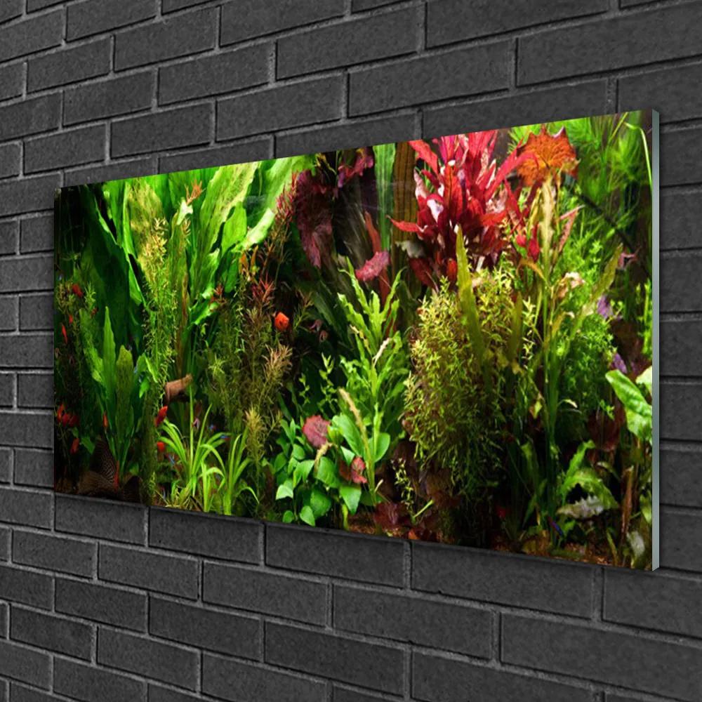 Skleneny obraz Rastlina kvety príroda 100x50 cm