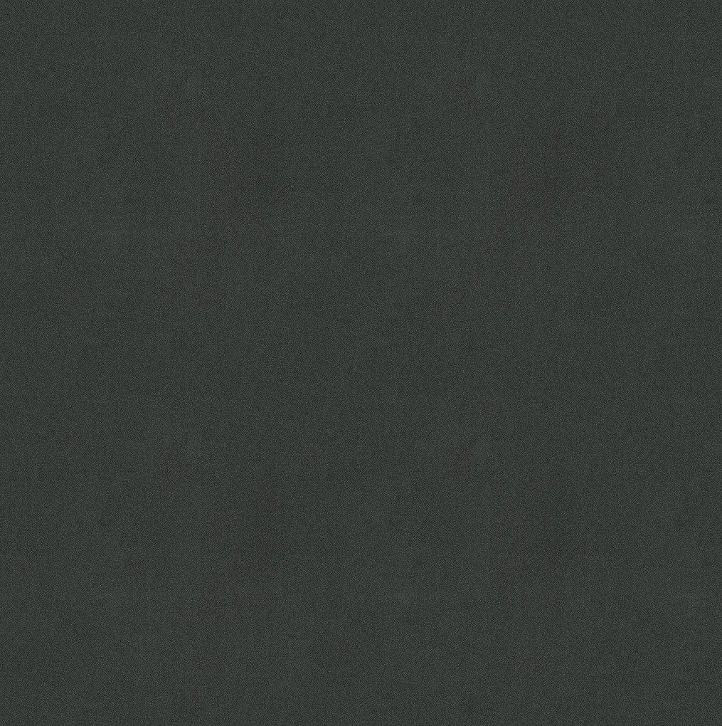 Lentex, AKCIA: 110x530 cm PVC podlaha - lino Flexar PUR 603-04 čierna, šíře, čierna, bez podkladu, kancelária