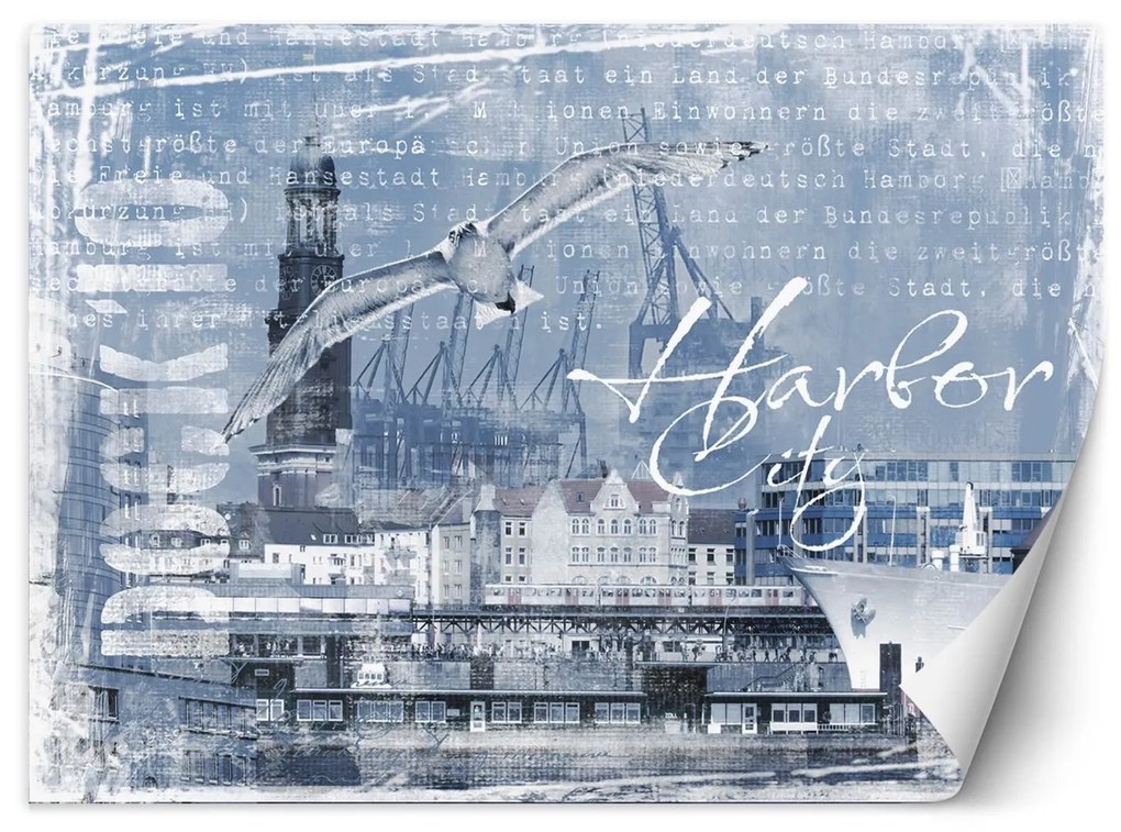 Gario Fototapeta Prístav a čajka - Andrea Haase Materiál: Vliesová, Rozmery: 450 x 315 cm