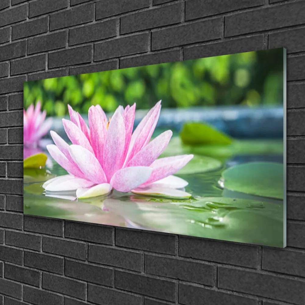 Skleneny obraz Vodné lilie rybník príroda 125x50 cm