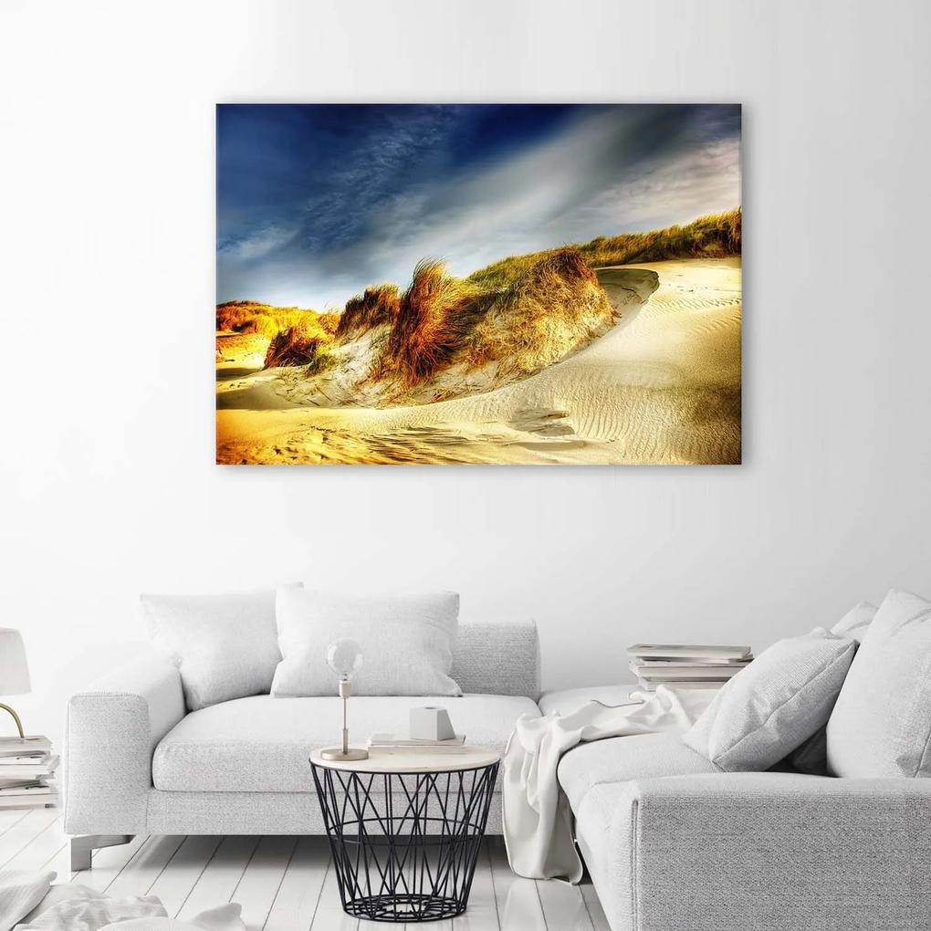Gario Obraz na plátne Duny Rozmery: 60 x 40 cm