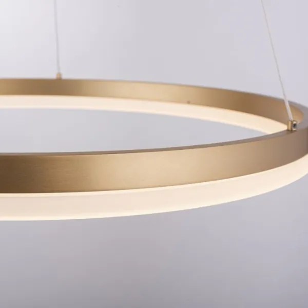 Paul Neuhaus 2382-60 - LED Stmievateľný luster na lanku TITUS LED/38,5W/230V