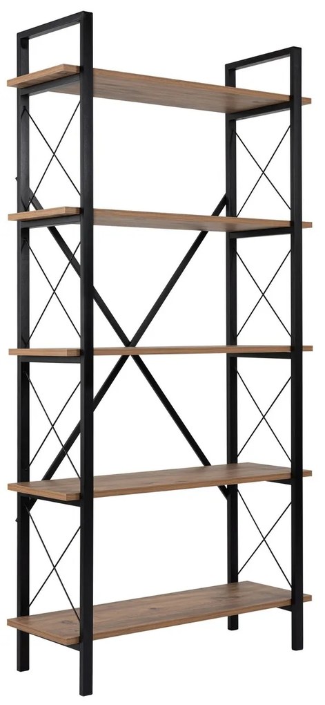 Elysian - Atlantic Pine, Black