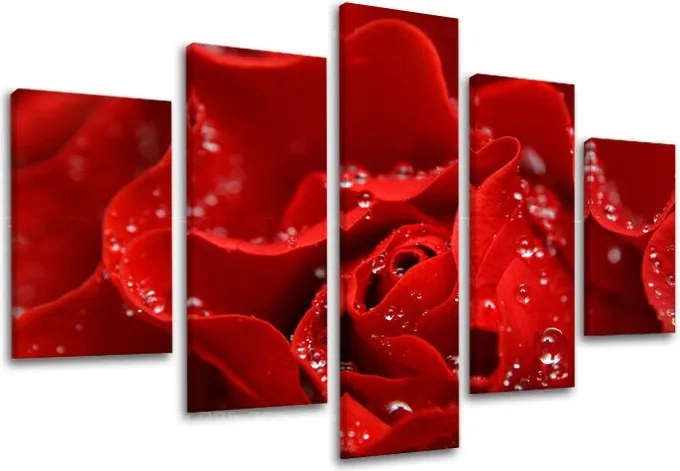 Obraz na stenu 5 dielny KVETY XOBKV116E50 - 100x80 cm