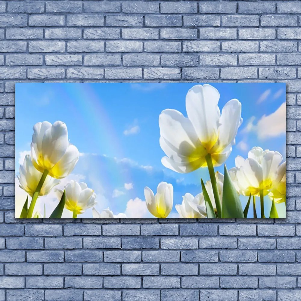 Obraz plexi Rastliny kvety tulipány 120x60 cm