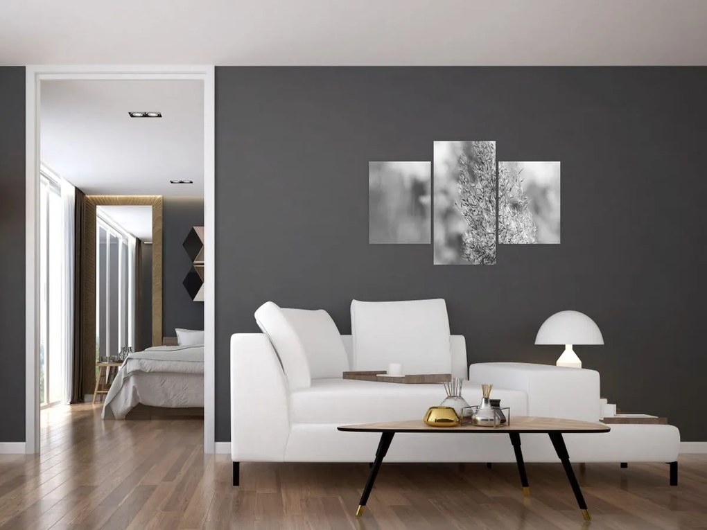Obraz - Boho pampas grass (90x60 cm)
