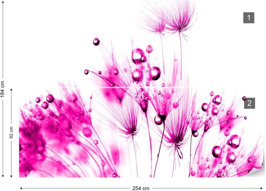 GLIX Fototapeta - Modern Dandelion Pink And White Vliesová tapeta  - 254x184 cm