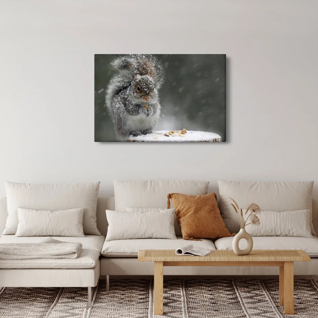 Obraz - Veverička v zime (90x60 cm)