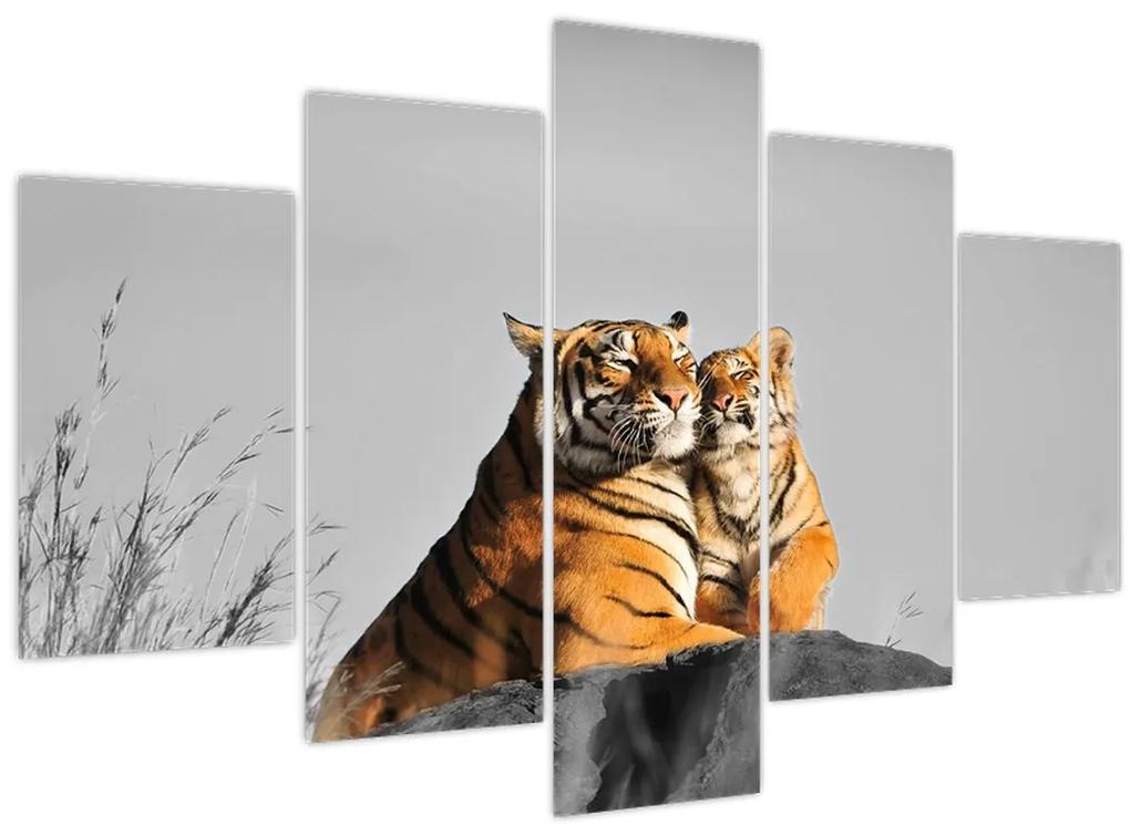 Obraz - Tigrice a jej mláďa, čiernobiely variant (150x105 cm)