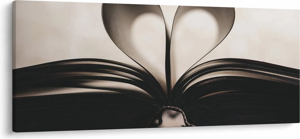 Obraz knihy (120x50 cm)