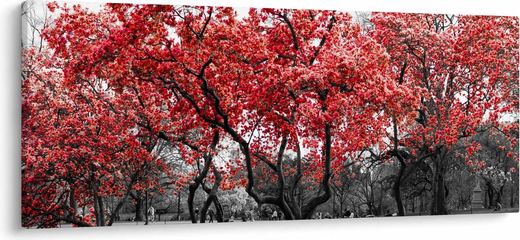 Obraz - Červené stromy, Central Park, New York (120x50 cm)