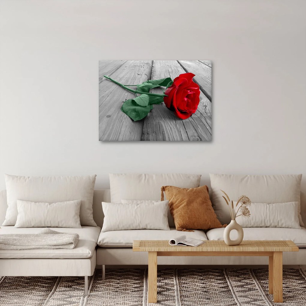Obraz - Červená ruža so zelenou stonkou (70x50 cm)