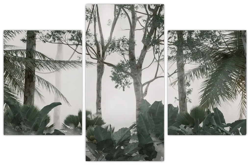 Obraz - Jungle v rannej hmle (90x60 cm)