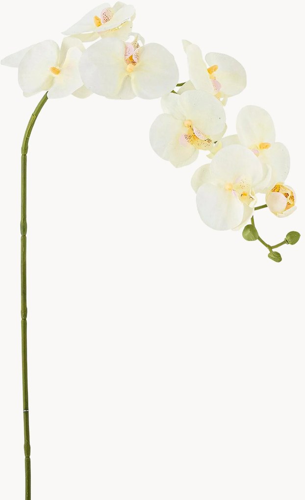 Rastlinné dekorácie Orchid, 2 ks