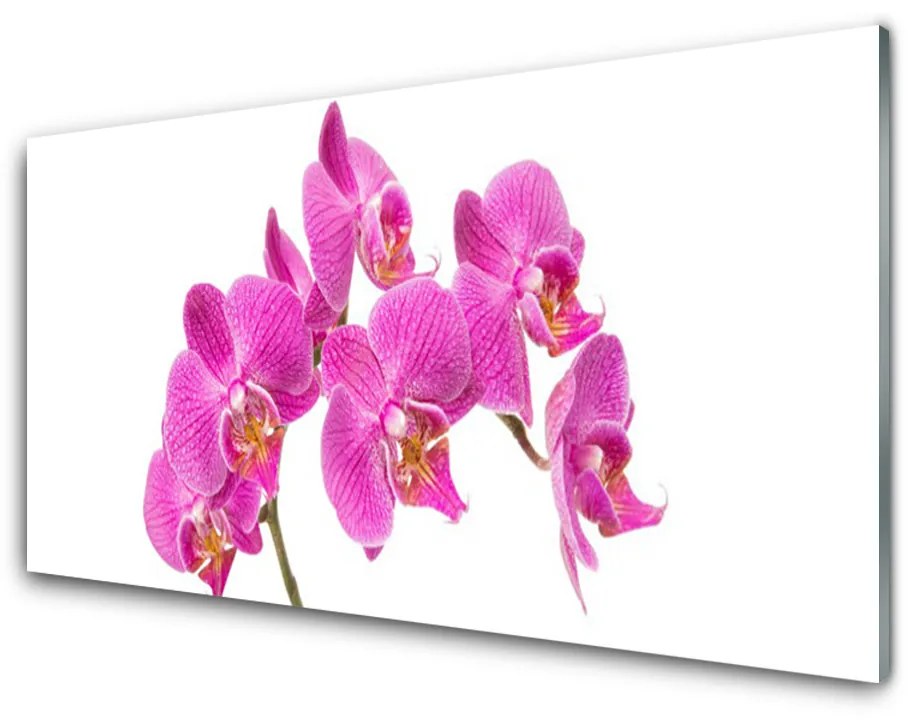 Sklenený obklad Do kuchyne Orchidea kvety príroda 100x50 cm