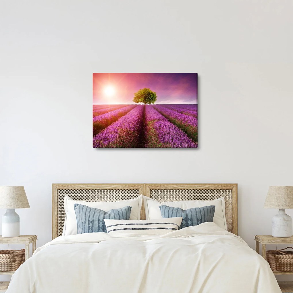 Obraz poľa s levanduľami (70x50 cm)