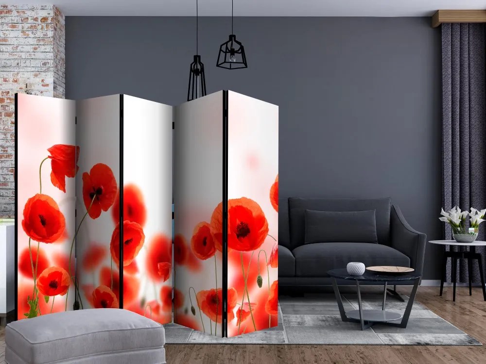 Artgeist Paraván - Sleepy poppy's land [Room Dividers]