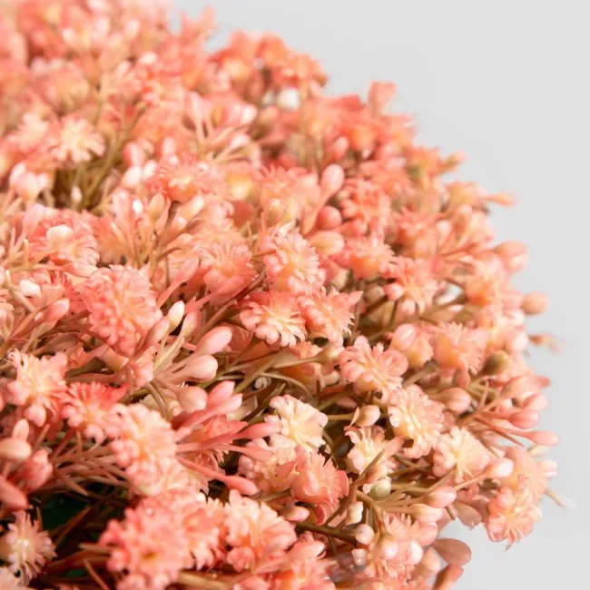 Veniec CLADEL červený 740442